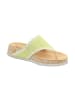 Think! Zehentrenner KOAK DAMEN in Lime