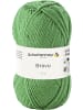 Schachenmayr since 1822 Handstrickgarne Bravo, 50g in Farn