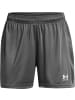 Under Armour Sportshorts "Ua W'S Ch. Knit Short" in Grau