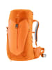 Deuter AC Lite 22 SL