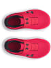 Under Armour Laufschuh "Ua Binf Surge 4 Ac" in Rot