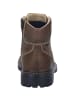 Josef Seibel Stiefelette Chance 51 in castagne-kombi
