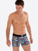 HOM Retro Boxer Idylle in multico print