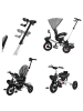 Lorelli Zippy 3 in 1 in grau
