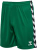 Hummel Kurze Hose Playful Shorts Erwachsene in EVERGREEN