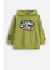 Coccodrillo Kapuzen-Sweatshirt in olivgrün