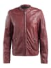 CBL Herren Lederjacke  in cognac braun