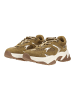 Steve Madden Sneaker AMPLE in Olive