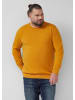 s.Oliver Strickpullover in 17W0_honiggelb