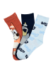 Bluey Bingo Kinder Socken 6er Pack Jungen Mädchen in Mehrfarbig
