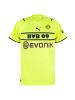 Puma Trikot BVB Cup Jersey 2021/2022 in Gelb