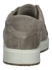 Fretz Men Sneaker in Sand