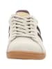 Gola Sneaker Low in grau