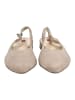 Högl Ballerinas in Taupe