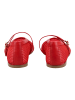 Steve Madden Ballerinas in Cherry