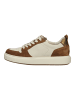 Paul Green Sneaker in Braun/Beige