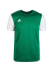 adidas Performance Fußballtrikot Estro 19 in grün / weiß