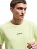 KOTON TSHIRT SS in Gelb