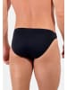 HOM Slip / Unterhose Premium Cotton in Dunkelblau