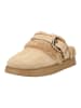 Steve Madden Hausschuhe in Tan
