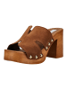 Steve Madden Pantoletten in Chestnut