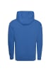 Tommy Hilfiger Kapuzenpullover Tommy Jeans Reg Linear in hellblau