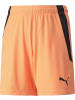 Puma Sporthose "TeamLIGA Shorts Jr" in Orange