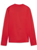 Puma Pullover "TeamGoal Training Sweat Wmn" in Rot