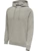 Hummel Hoodie "Hmlred Classic Hoodie" in Grau