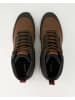 Geox Stiefeletten in Braun