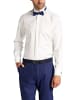 Eterna Knopfleisten Langarmshirt für Herren in champagner