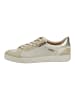 Pikolinos Sneaker in Beige/Gold