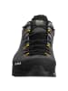 Salewa Trekkingschuhe low in schwarz