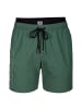 Arena Elastic Band Beach Boxer in Grün