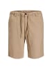 Jack & Jones Shorts 'Stjaiden' in dunkelblau
