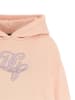 Dolce & Gabbana Mehrfarbig Baumwolle Hoodie