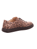 Finn Comfort Sneaker in braun