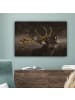 MuchoWow Leinwand bilder Hirsch (BxH)