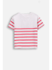 Coccodrillo T-Shirt mit kurzen Ärmeln in bunt