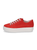 Paul Green Sneaker in Rot