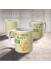 Mr. & Mrs. Panda Tasse Fuchs Lehrerin mit Spruch in Gelb Pastell