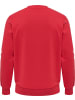 Hummel Pullover "Lgc Graham Sweatshirt" in Rot