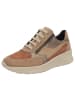 Solidus Damen- Schnürschuhe Holly Weite H in Braun