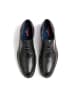 LLOYD SHOES "Tambo" in black