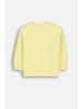 Coccodrillo Baumwoll-Trainingspullover in gelb