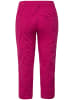 Ulla Popken Hosen in fuchsia pink