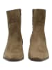 Steve Madden Stiefelette DUSTY in Oliv