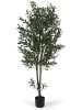 COSTWAY Künstliche Olivenbaum 180 cm in Grün