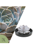 NatureNest Echeveria Lilacina lila Sukkulente in schwarzer Keramikschale