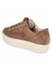 Paul Green Schnürhalbschuh in brown